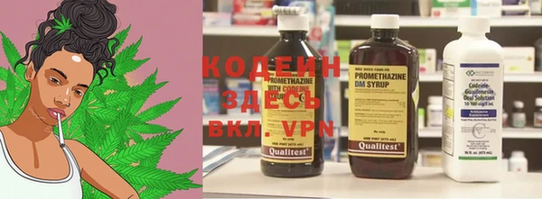 гидра Ельня