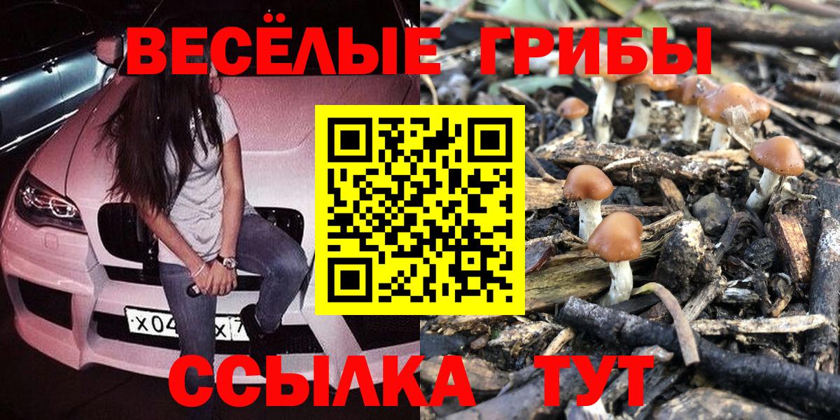 Галлюциногенные грибы прущие грибы  Вход с VPN  Галлюциногенные грибы Psilocybe  Армавир 